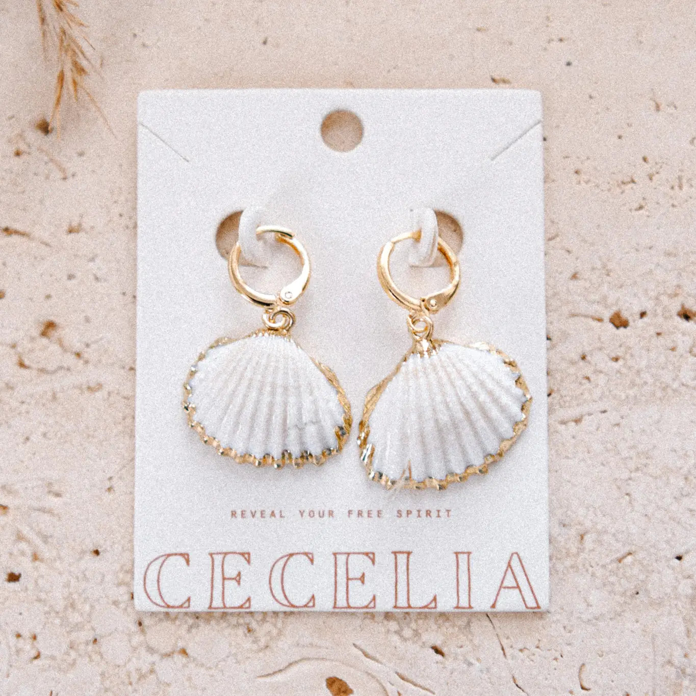 The Beach Shells