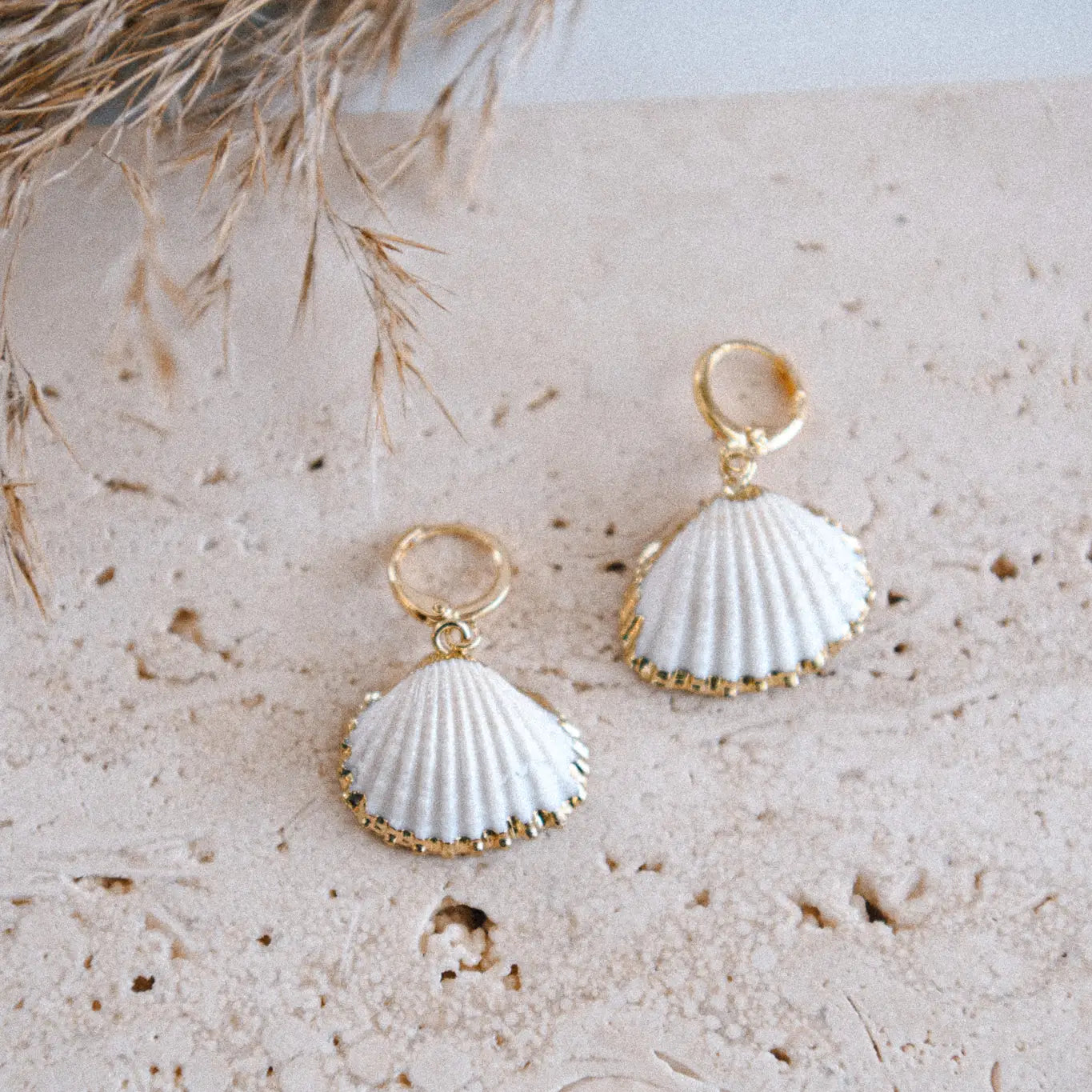 The Beach Shells