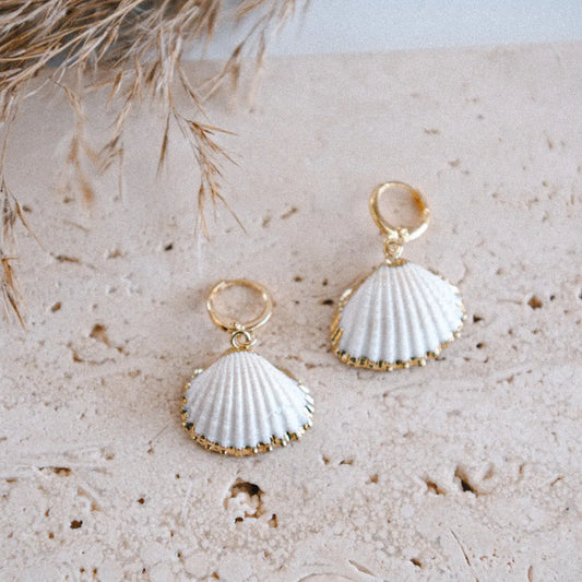 The Beach Shells